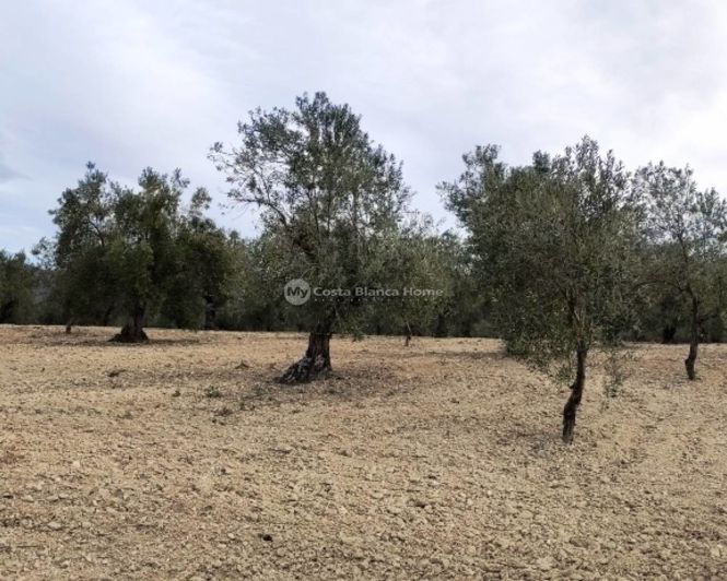 Image No.9-Propriété à vendre à Penáguila