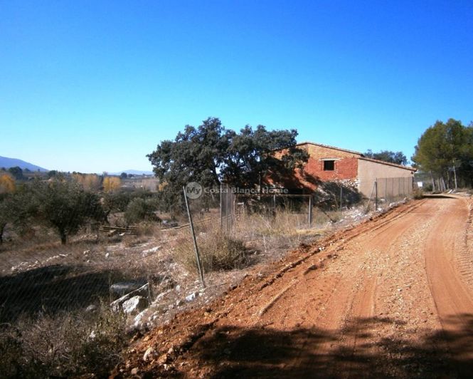 Image No.6-Finca à vendre à Agrés