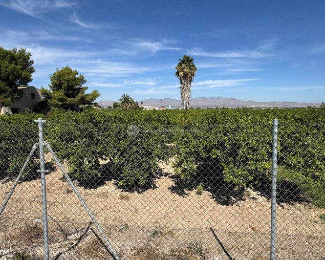 Image No.17-Maison de ville de 3 chambres à vendre à Catral