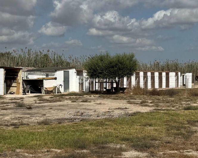 Image No.37-5 Bed Country House for sale