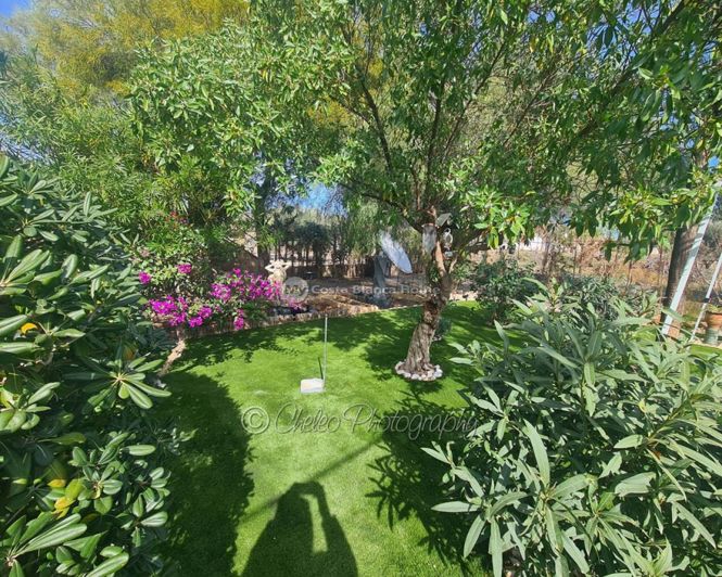 Image No.35-3 Bed Country House for sale