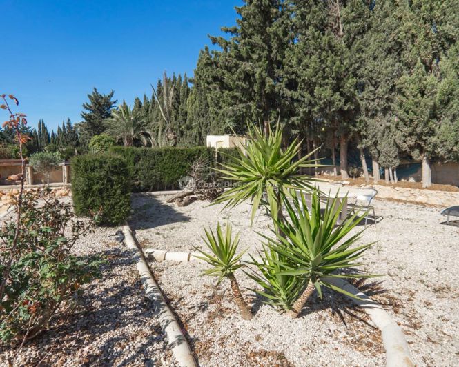 Image No.45-6 Bed Country House for sale