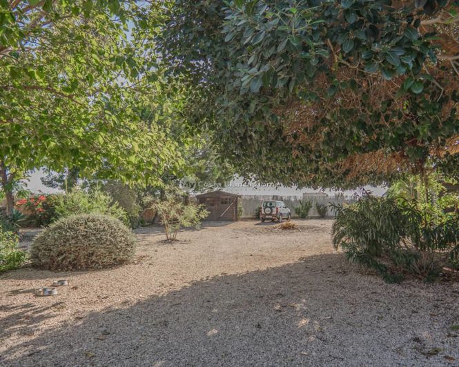 Image No.29-3 Bed Country House for sale