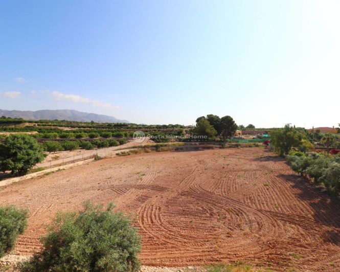 Image No.32-3 Bed Country House for sale