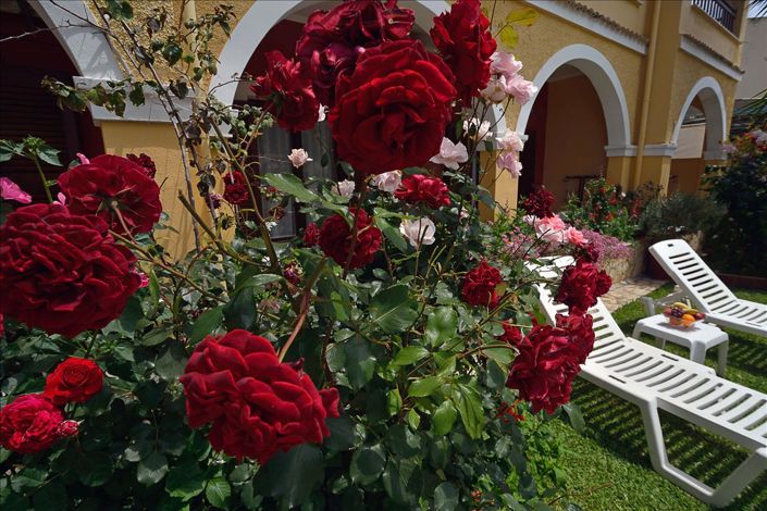 Image No.21-Hotel for sale