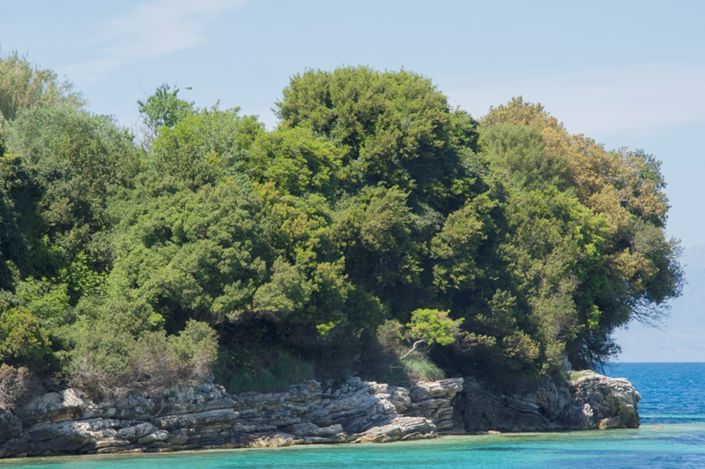 Image No.28-5 Bed Villa for sale