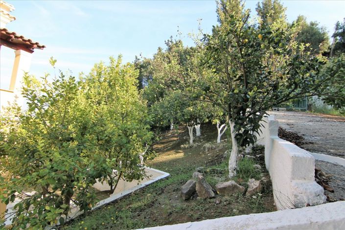 Image No.11-Un hôtel à vendre à Karousades