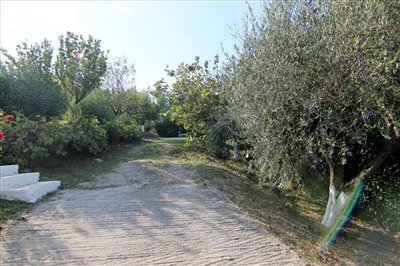 Photo 15 - Hotel 175 m² in Ionian islands