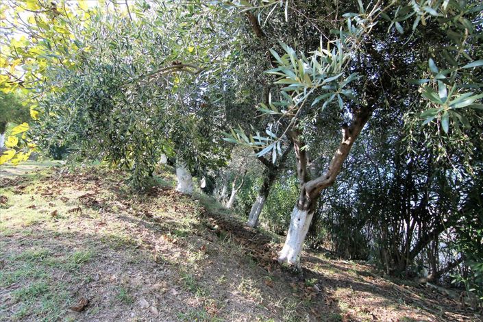 Image No.16-Un hôtel à vendre à Karousades