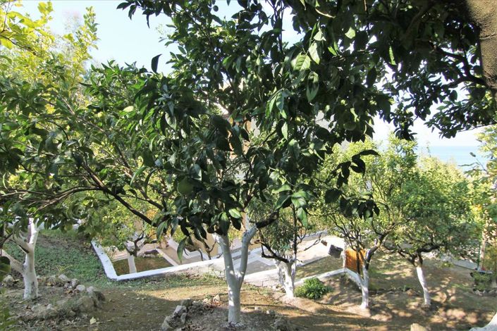 Image No.6-Un hôtel à vendre à Karousades