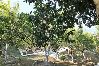 Photo 6 - Hotel 175 m² in Ionian islands