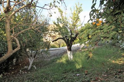 Photo 9 - Hotel 175 m² in Ionian islands