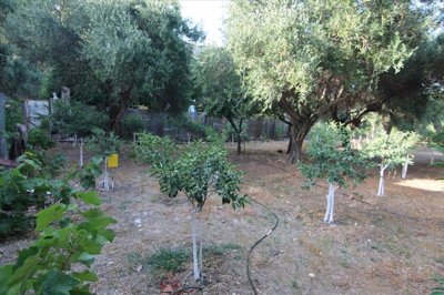 Photo 9 - Cottage 156 m² in Ionian islands