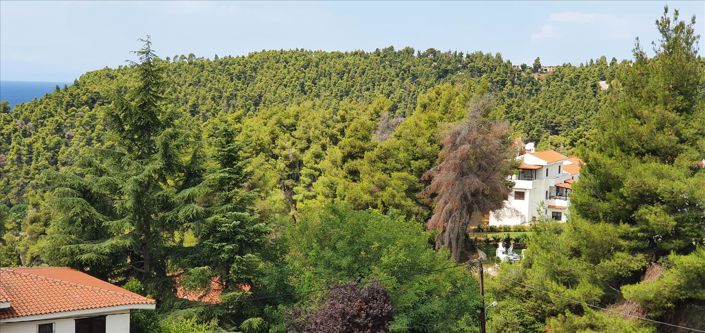 Image No.3-Maisonette de 5 chambres à vendre à Halkidiki