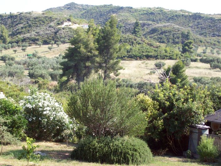 Image No.25-Propriété de 4 chambres à vendre à Halkidiki