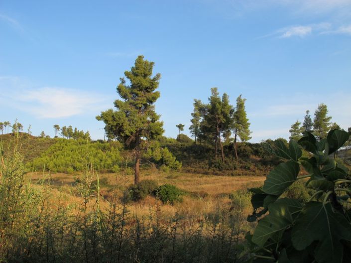 Image No.26-Propriété de 4 chambres à vendre à Halkidiki