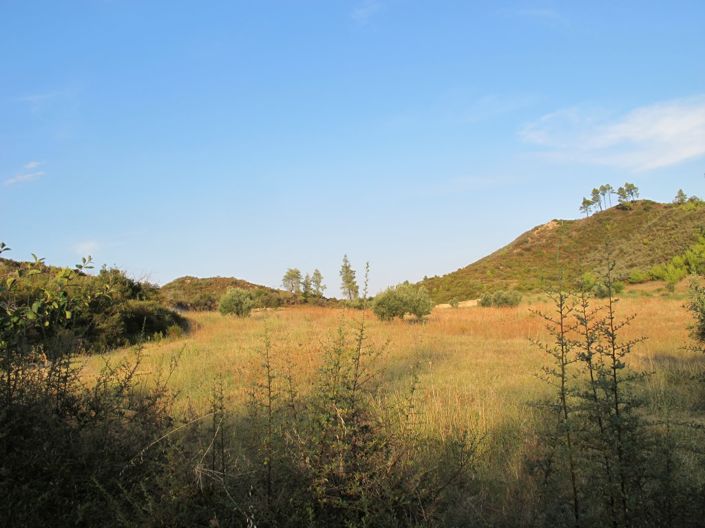 Image No.27-Propriété de 4 chambres à vendre à Halkidiki