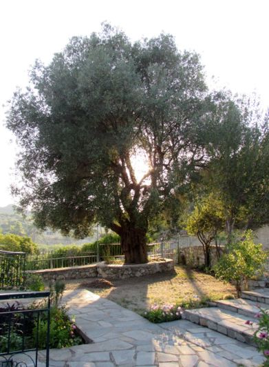 Image No.28-Propriété de 4 chambres à vendre à Halkidiki