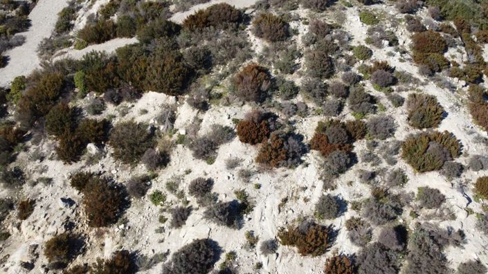 Image No.6-Land for sale