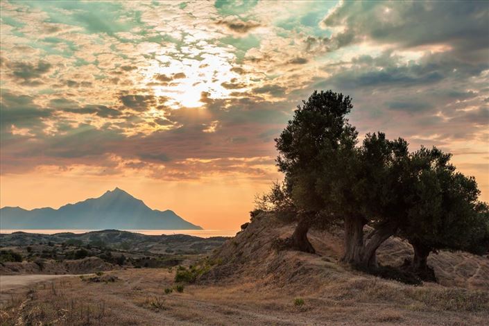 Image No.21-Propriété de 2 chambres à vendre à Halkidiki