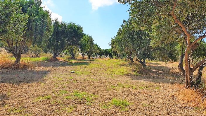 Image No.2-Land for sale