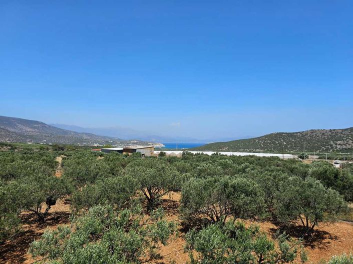 Image No.15-Villa de 4 chambres à vendre à Kavousi