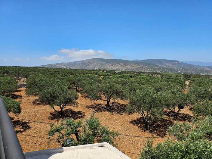 Image No.17-Villa de 4 chambres à vendre à Kavousi