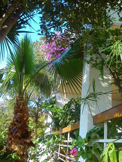 Image No.20-5 Bed Property for sale