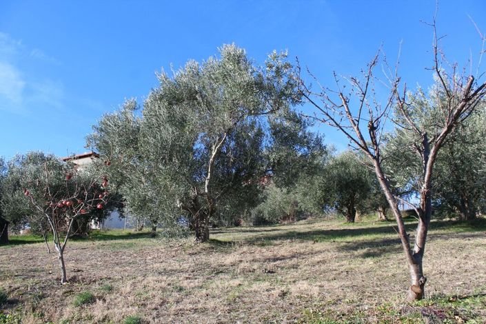 Image No.19-Maisonette de 3 chambres à vendre à Katerini