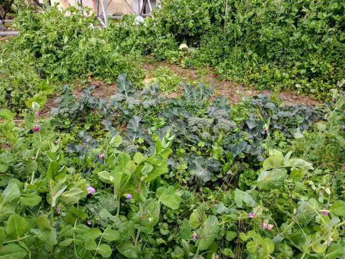 Image No.9-3 Bed Property for sale