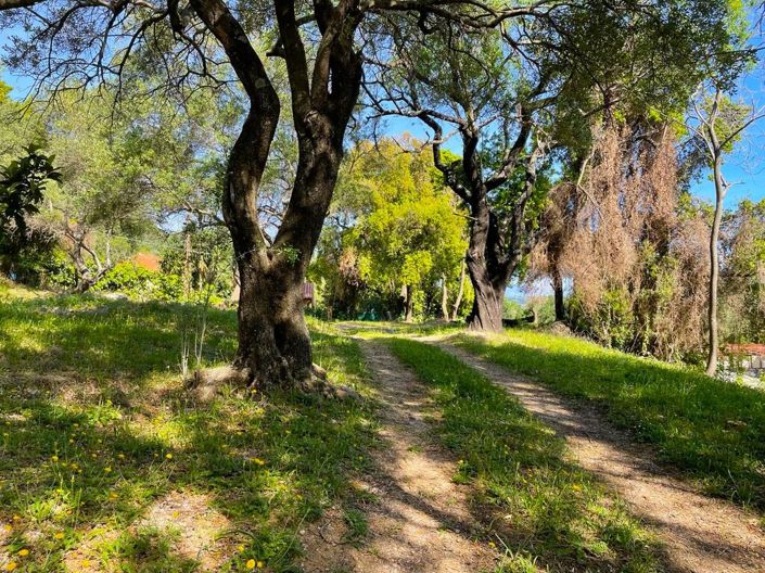 Image No.22-Propriété de 1 chambre à vendre à Moraitika