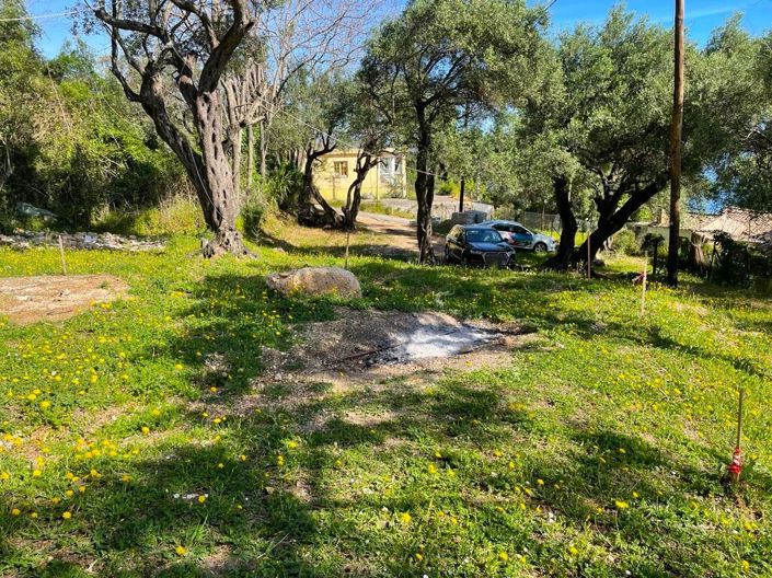 Image No.26-Propriété de 1 chambre à vendre à Moraitika