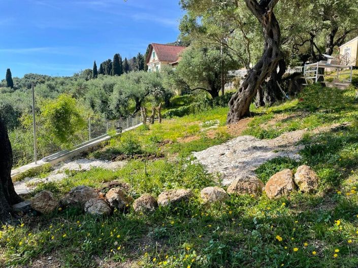 Image No.27-Propriété de 1 chambre à vendre à Moraitika