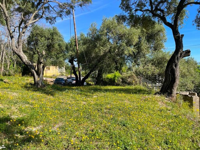 Image No.28-Propriété de 1 chambre à vendre à Moraitika