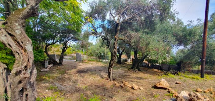 Image No.18-Propriété de 1 chambre à vendre à Moraitika