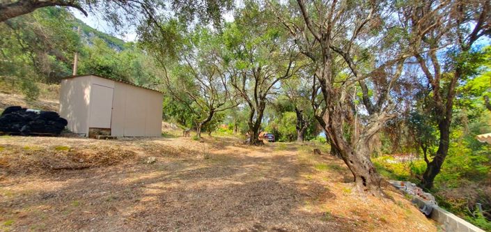 Image No.24-Propriété de 1 chambre à vendre à Moraitika