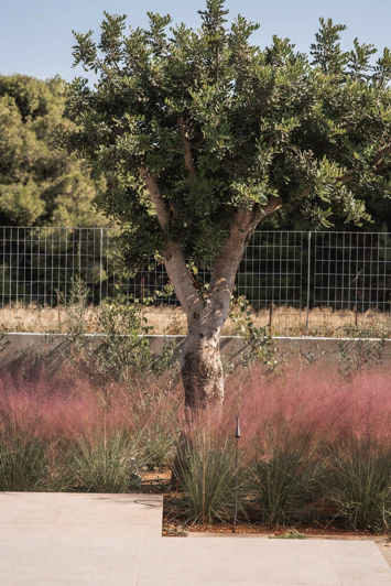 Image No.15-Villa de 4 chambres à vendre à Vravona