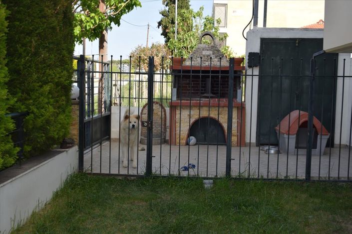 Image No.4-Propriété de 3 chambres à vendre à Halkidiki