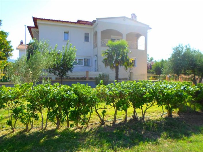 Image No.4-Propriété de 5 chambres à vendre à Halkidiki