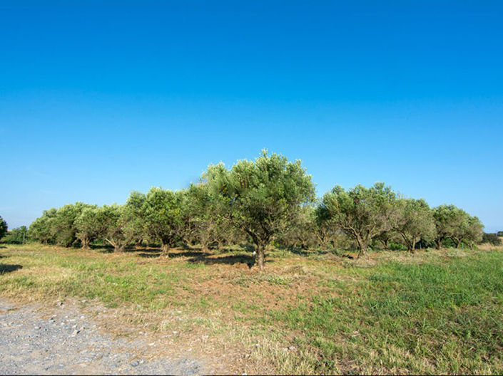 Image No.4-3 Bed Property for sale
