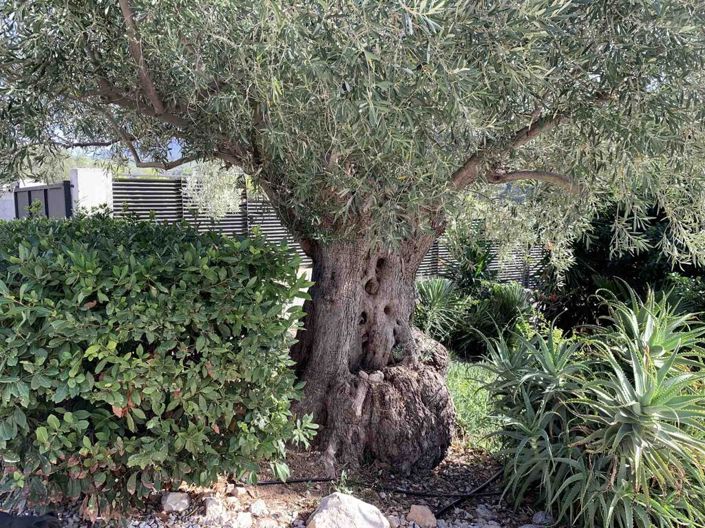 Image No.11-6 Bed Property for sale