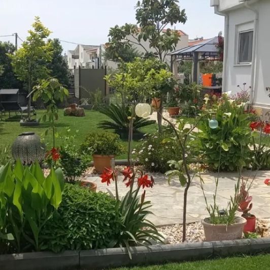 Image No.4-Propriété de 4 chambres à vendre à Halkidiki