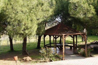 Photo 4 - Villa 327 m² in Central Macedonia