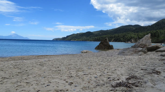 Image No.19-Propriété de 1 chambre à vendre à Halkidiki