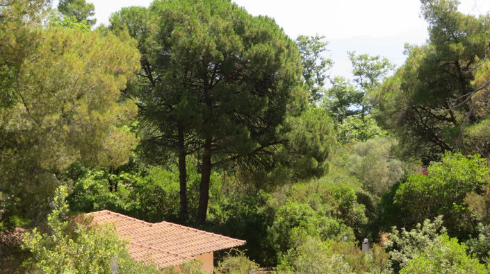 Image No.21-Propriété de 1 chambre à vendre à Halkidiki