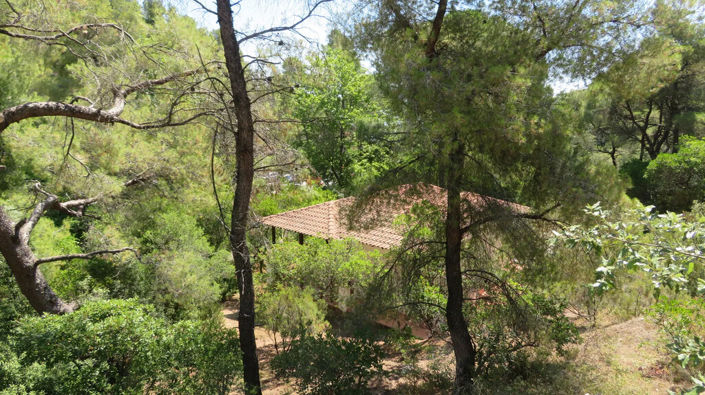 Image No.2-Propriété de 1 chambre à vendre à Halkidiki