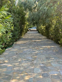 Photo 6 - Villa 530 m² in Attica