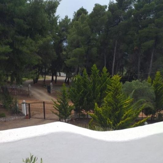 Image No.10-6 Bed Hotel for sale