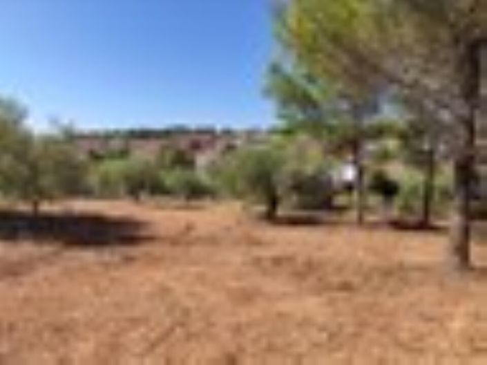 Image No.2-Land for sale