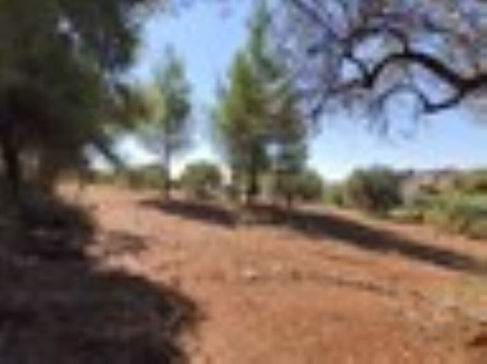 Image No.3-Land for sale